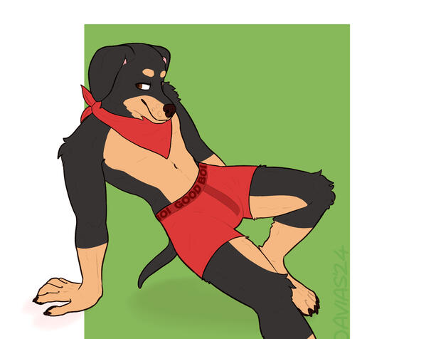 Soda Reference Sheet Soda Reference Sheet